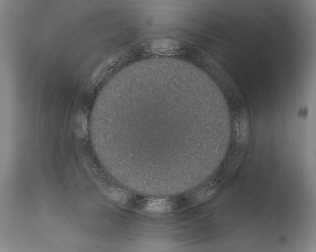 X0000111580705200908061325