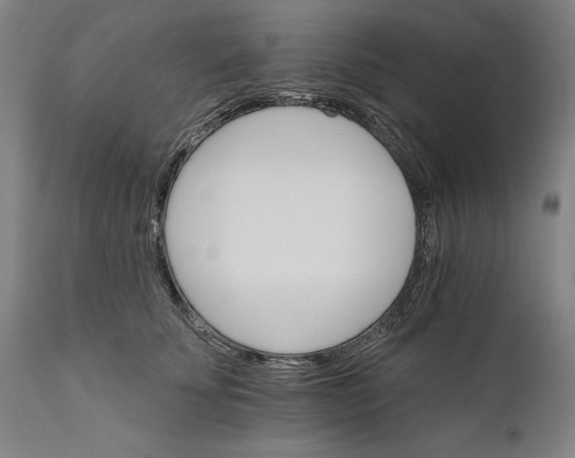 X0000111580707200908061325