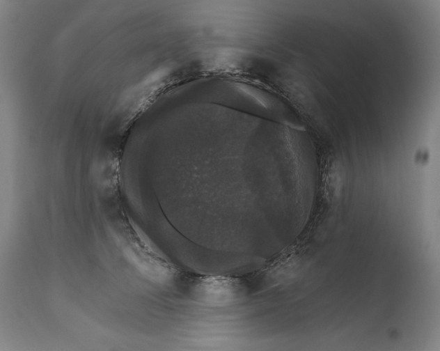 X0000111580708200908061325