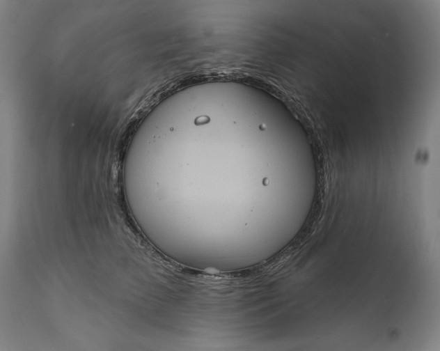 X0000111580709200908061325