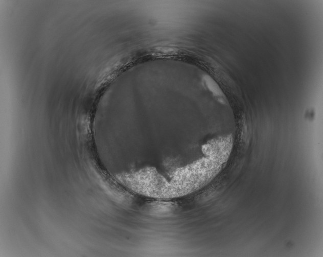 X0000111580711200908061325