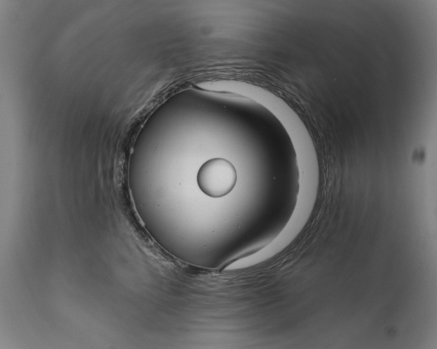 X0000111580712200908061325