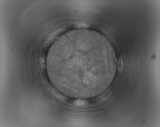 X0000111580714200908061325