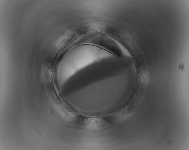 X0000111580716200908061325