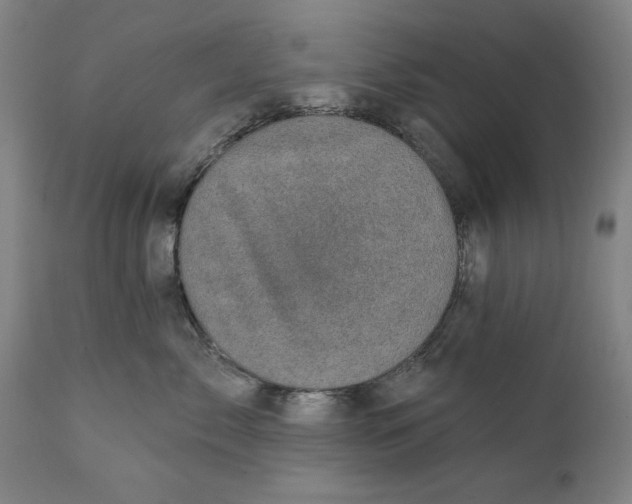 X0000111580717200908061325