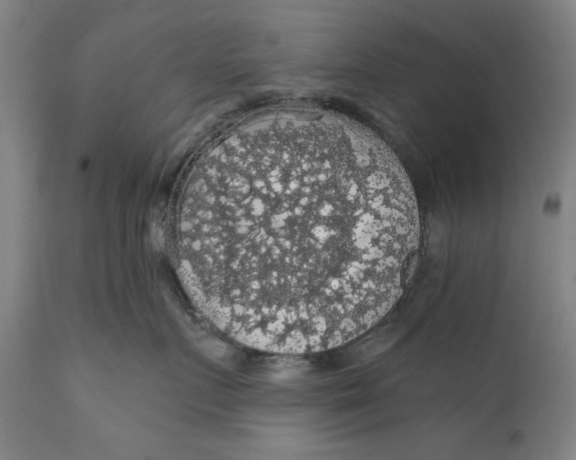 X0000111580719200908061324