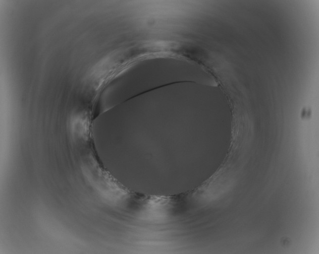 X0000111580720200908061324