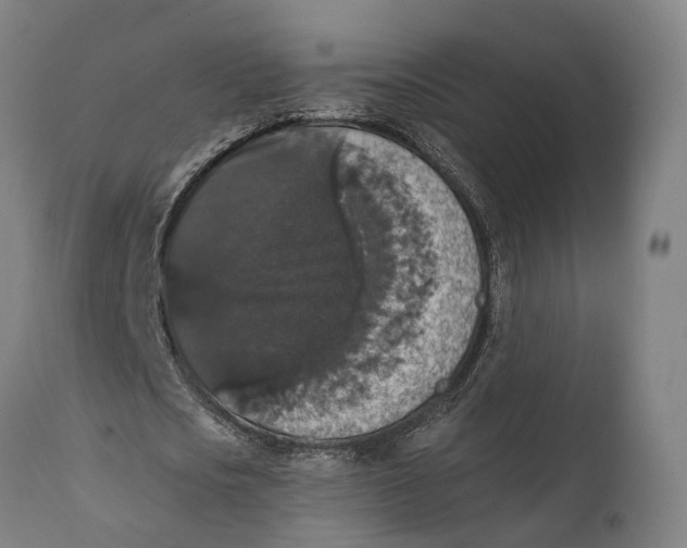 X0000111580721200908061324