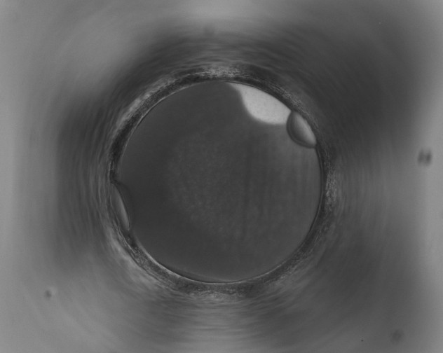 X0000111580722200908061324