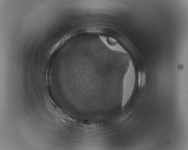 X0000111580723200908061324