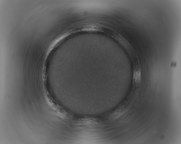 X0000111580724200908061324