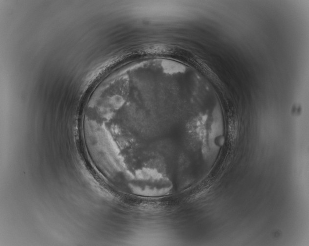 X0000111580725200908061324