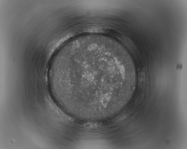 X0000111580727200908061324