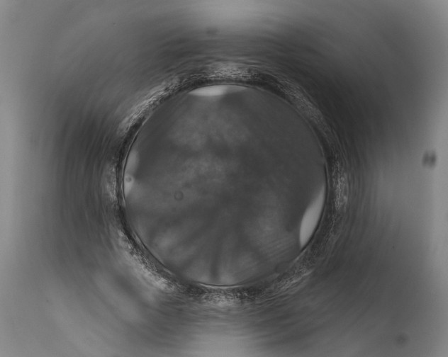 X0000111580729200908061324