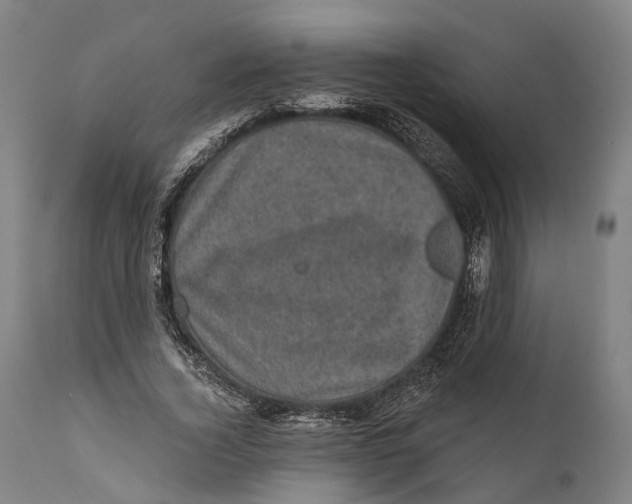 X0000111580732200908061324