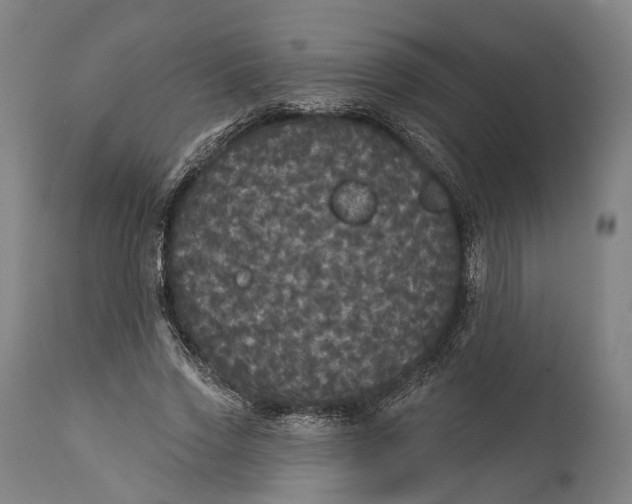 X0000111580733200908061324