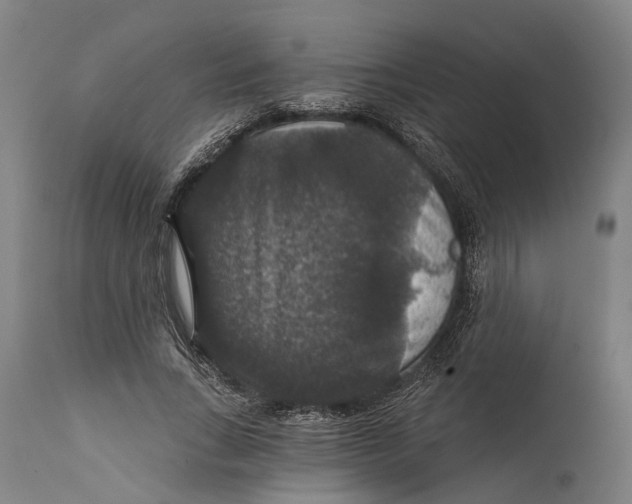 X0000111580735200908061324