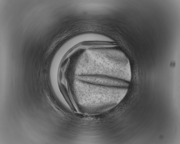 X0000111580736200908061324