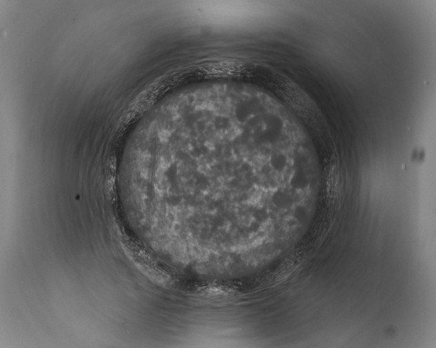 X0000111580737200908061324