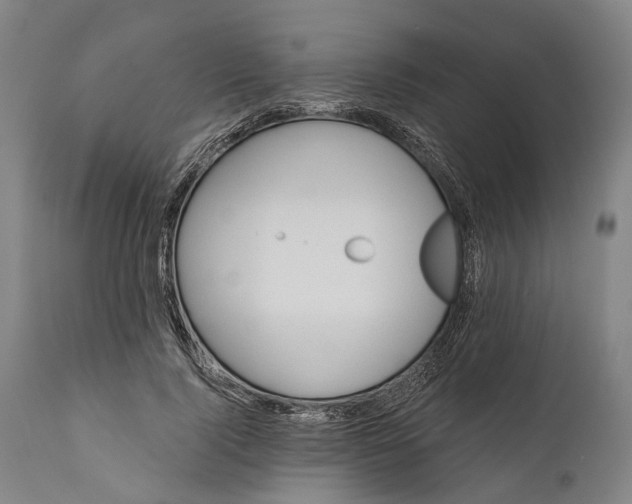 X0000111580740200908061324