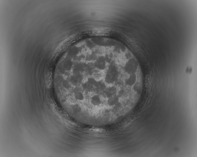 X0000111580741200908061324