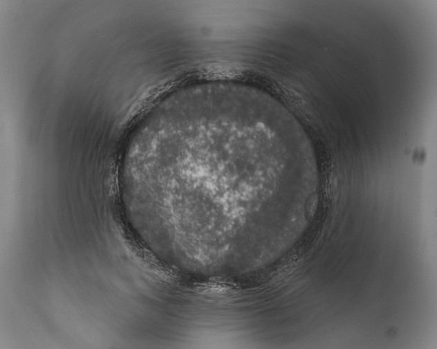 X0000111580743200908061324