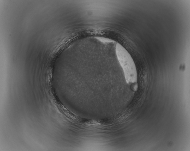 X0000111580747200908061324