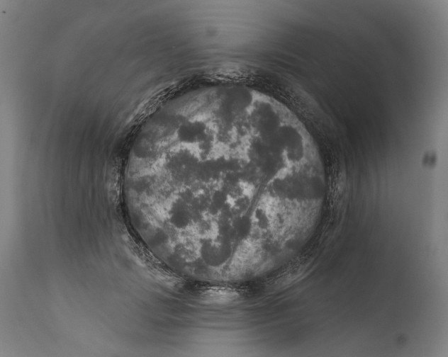 X0000111580749200908061324