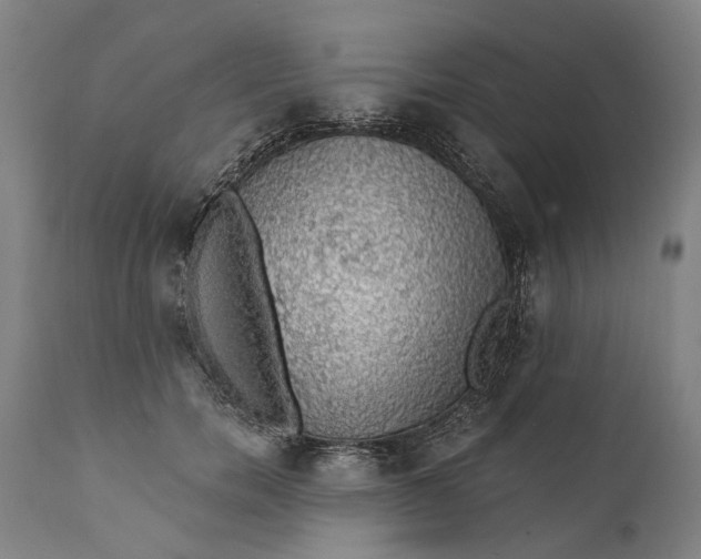 X0000111580750200908061324