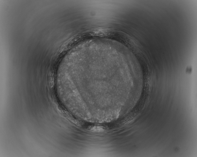 X0000111580751200908061324