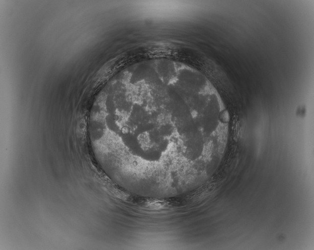 X0000111580753200908061324