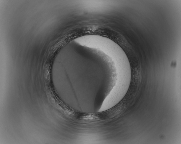 X0000111580754200908061324