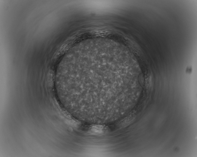 X0000111580757200908061324