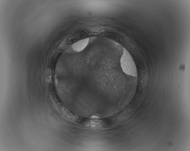 X0000111580758200908061324