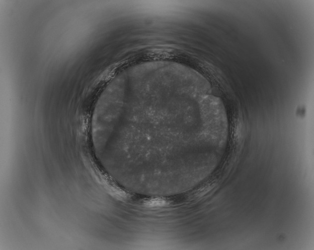 X0000111580759200908061324