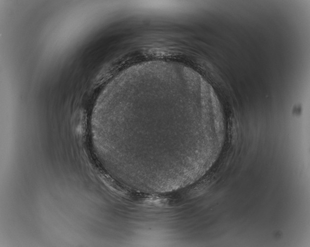 X0000111580760200908061324