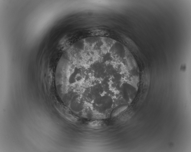 X0000111580761200908061324