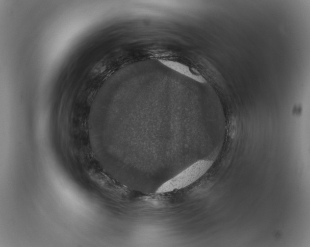 X0000111580763200908061324