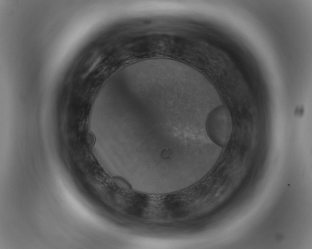 X0000111580766200908061324