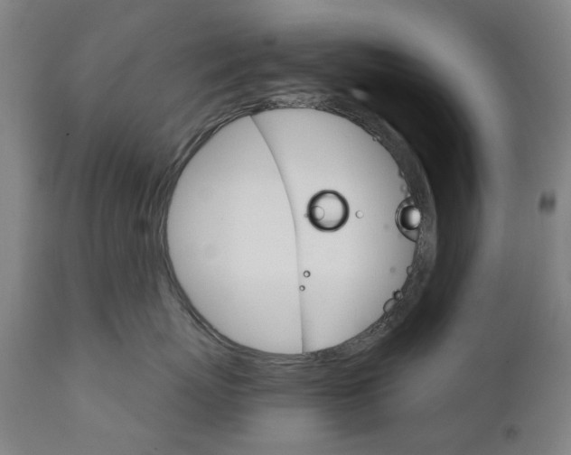 X0000111580767200908061324