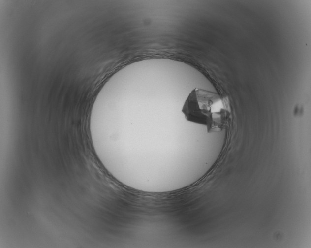 X0000111580768200908061324