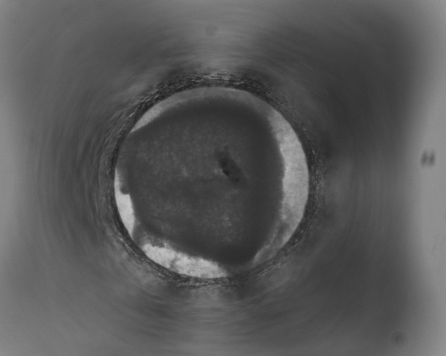 X0000111580769200908061324