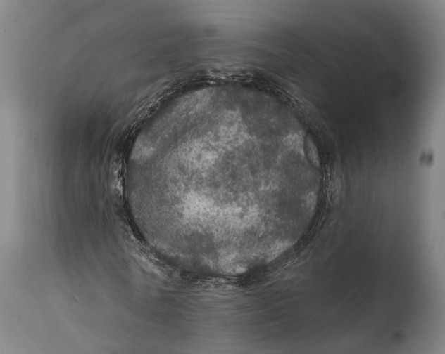 X0000111580770200908061324