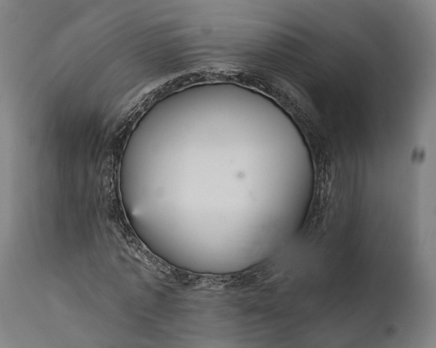 X0000111580773200908061324