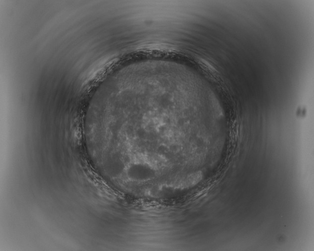 X0000111580774200908061324