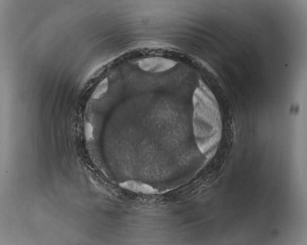 X0000111580775200908061324