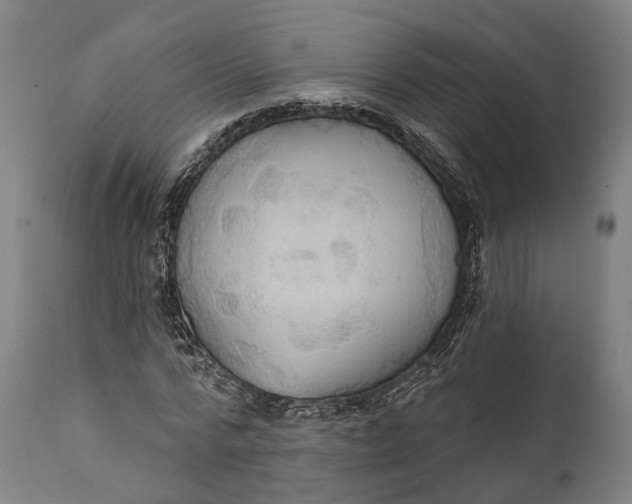 X0000111580776200908061324