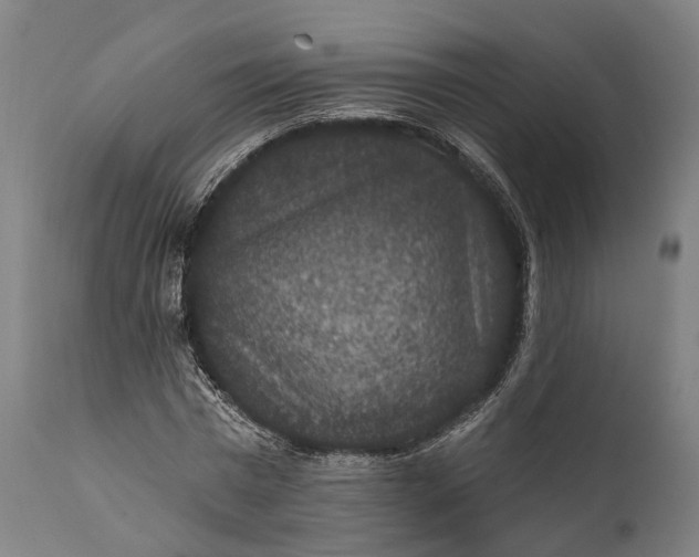 X0000111580777200908061324