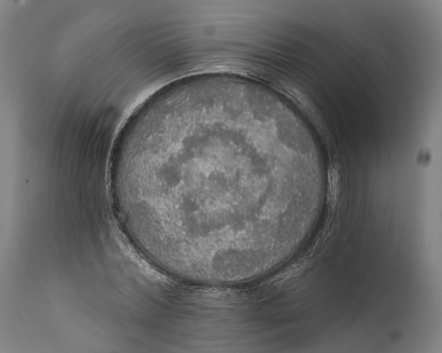 X0000111580780200908061324