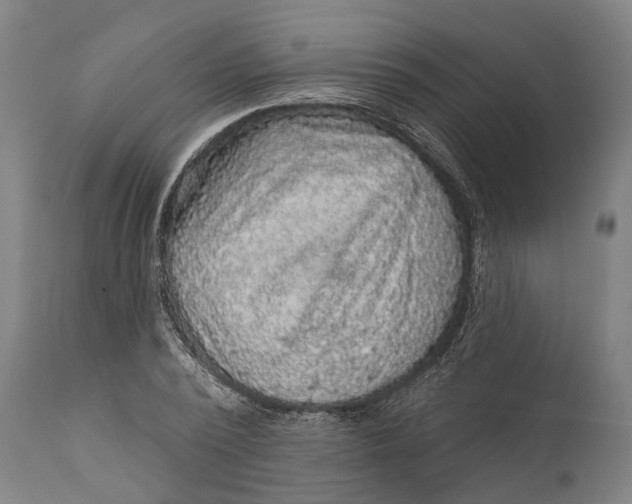 X0000111580784200908061324